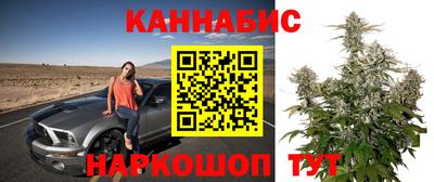 трава Малгобек