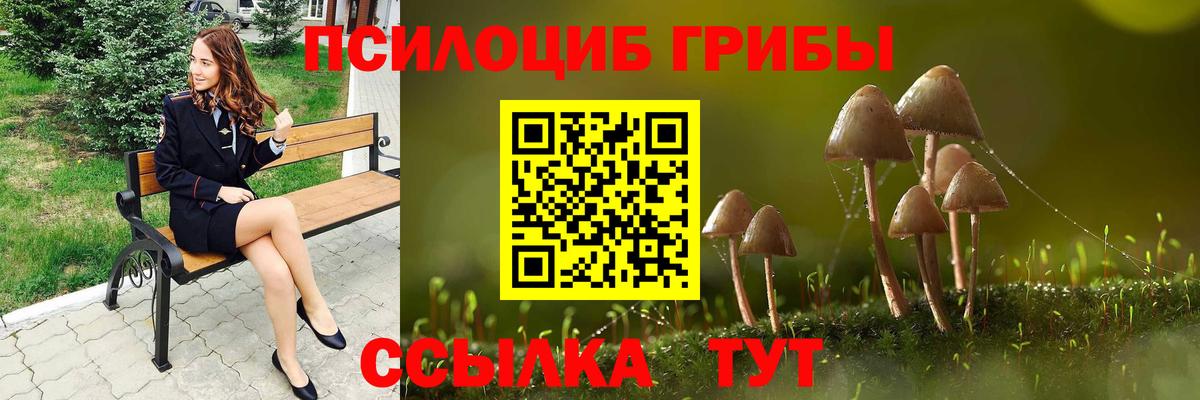 Советская Гавань  Псилоцибиновые грибы Cubensis  Галлюциногенные грибы Psilocybe  Вход с VPN 